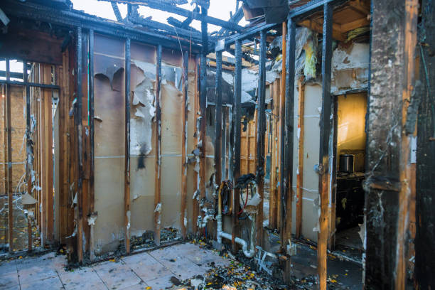 Professional Fire Damage Removal technician working in Burlington, WI